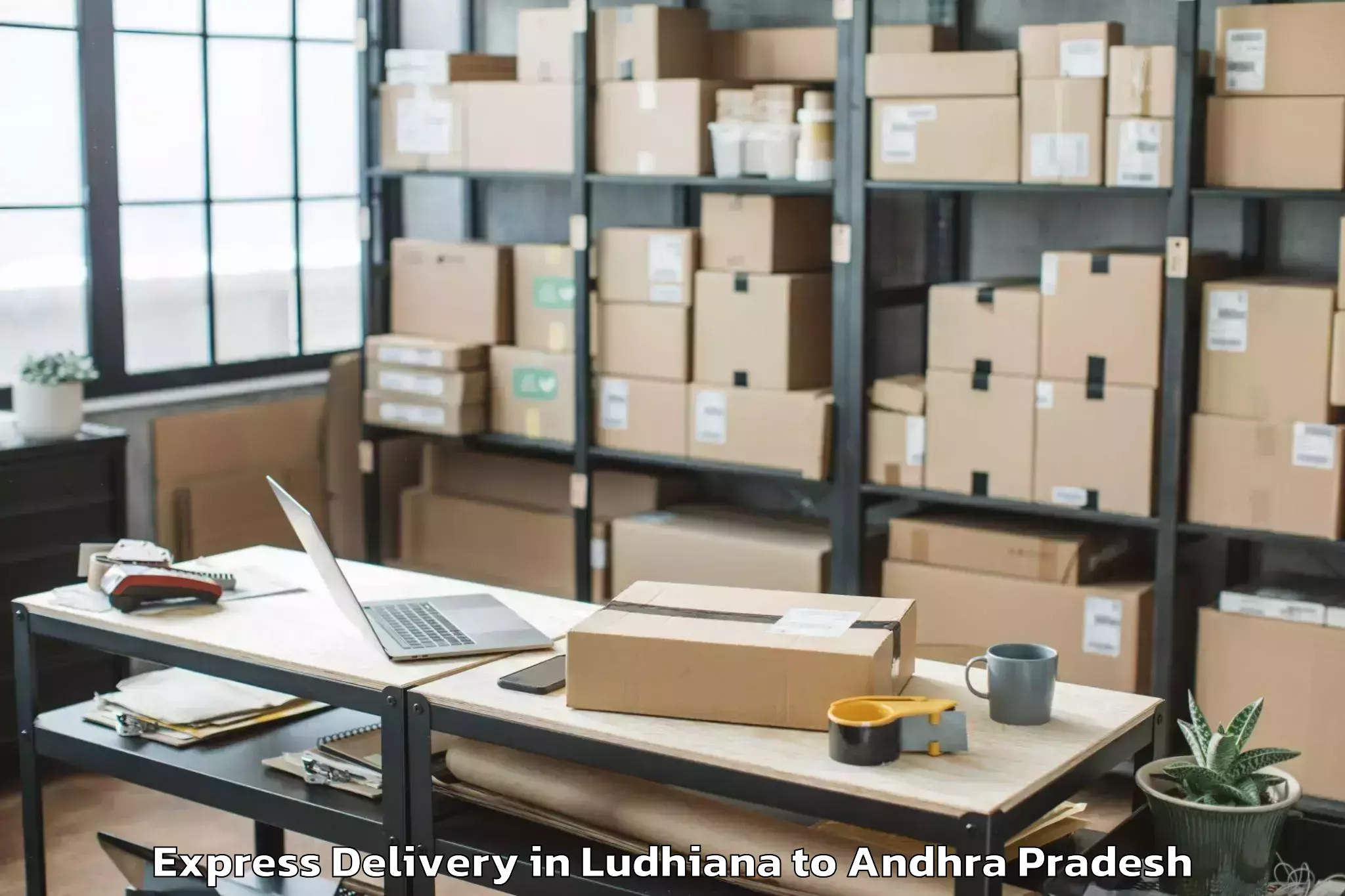 Get Ludhiana to Undrajavaram Express Delivery